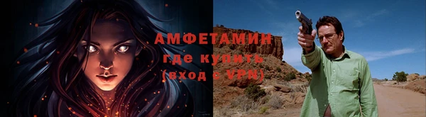apvp Бородино