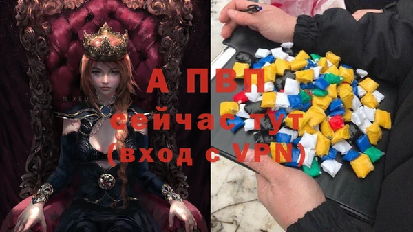 ALPHA PVP Богородицк