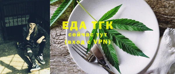 ALPHA PVP Богородицк