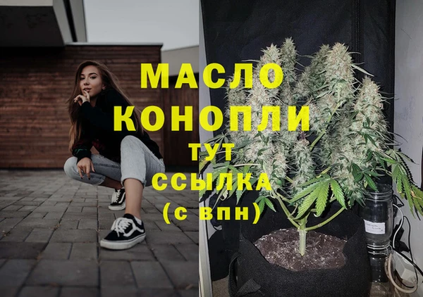 apvp Бородино