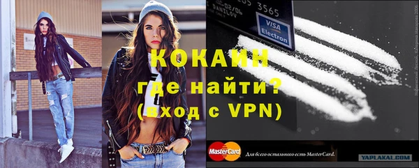 ALPHA PVP Богородицк