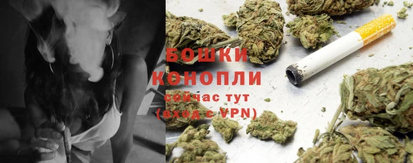 гашик Бронницы
