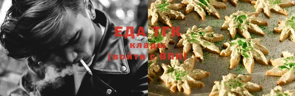 гашик Бронницы
