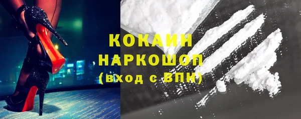 прущие грибы Заволжье