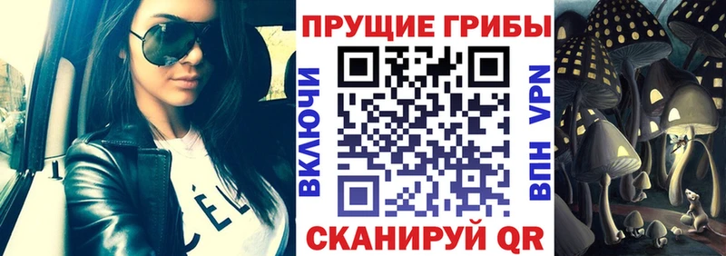 Галлюциногенные грибы Cubensis  что такое   Горно-Алтайск 