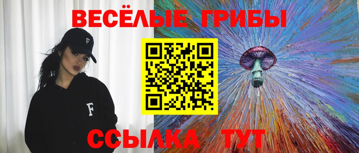 Псилоцибиновые грибы ЛСД  Горно-Алтайск 