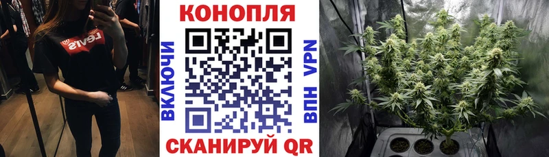цена наркотик Горно-Алтайск Канабис марихуана